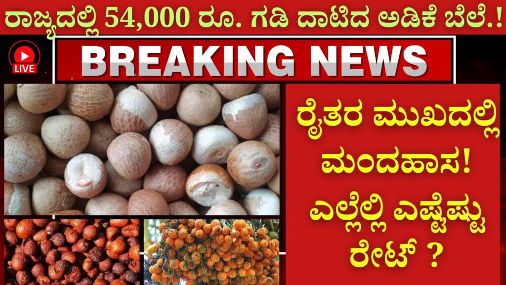 arecanut price today in karnataka